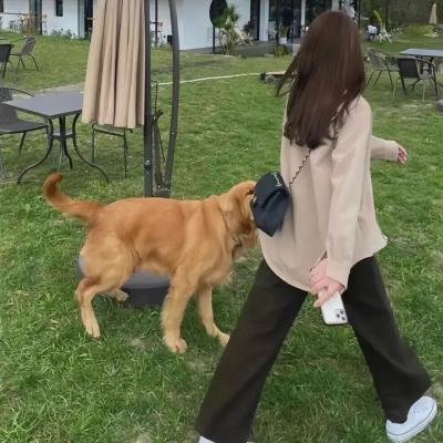 苦茶香海报